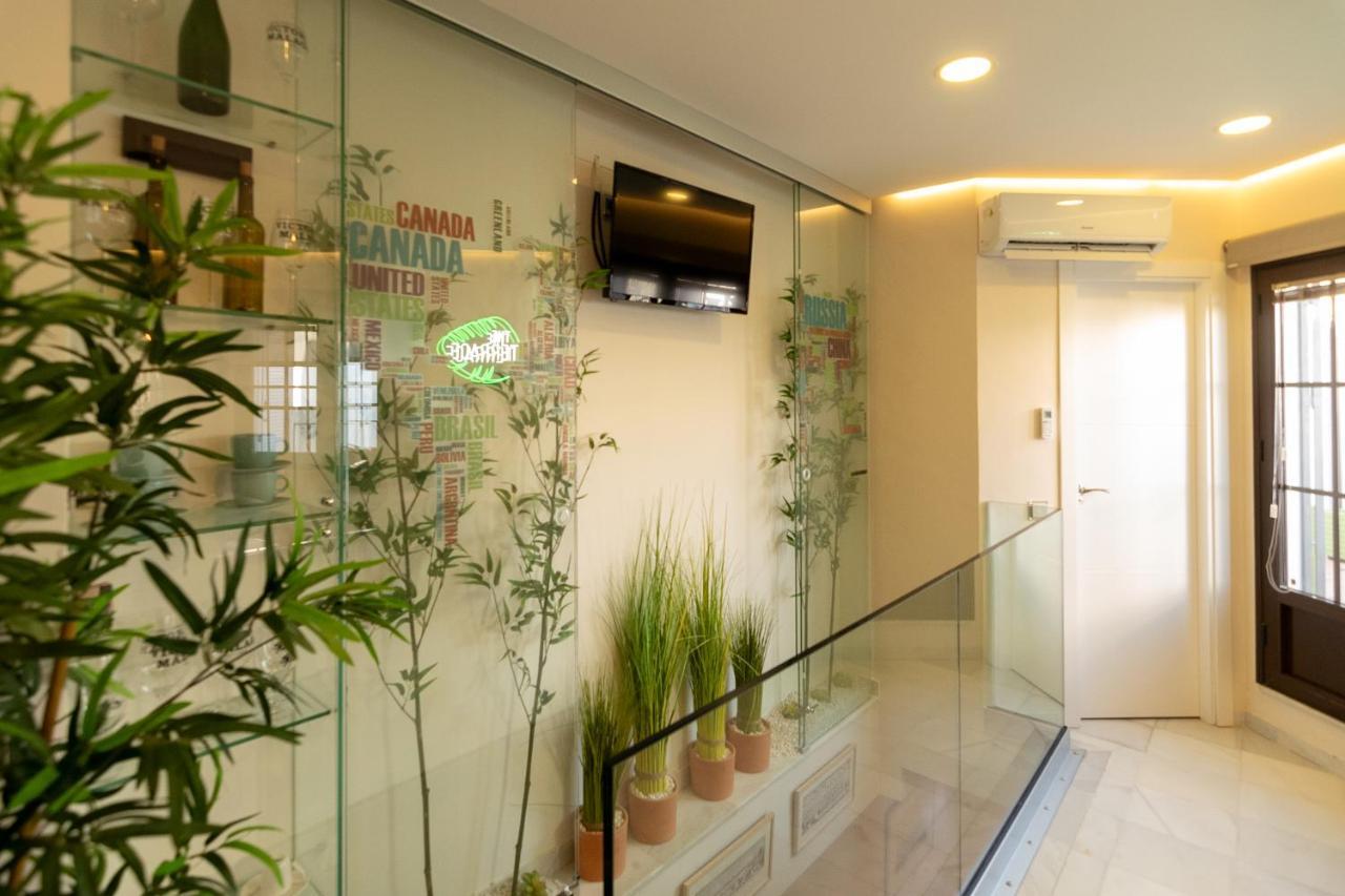 Apartmán The Terrace, Duplex Con Terraza Privada Sevilla Exteriér fotografie